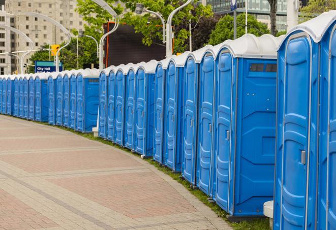 multiple portable restrooms in a neat and tidy row in Bloomingdale